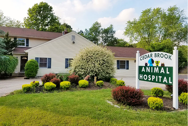 veterinary hospital in Sicklerville